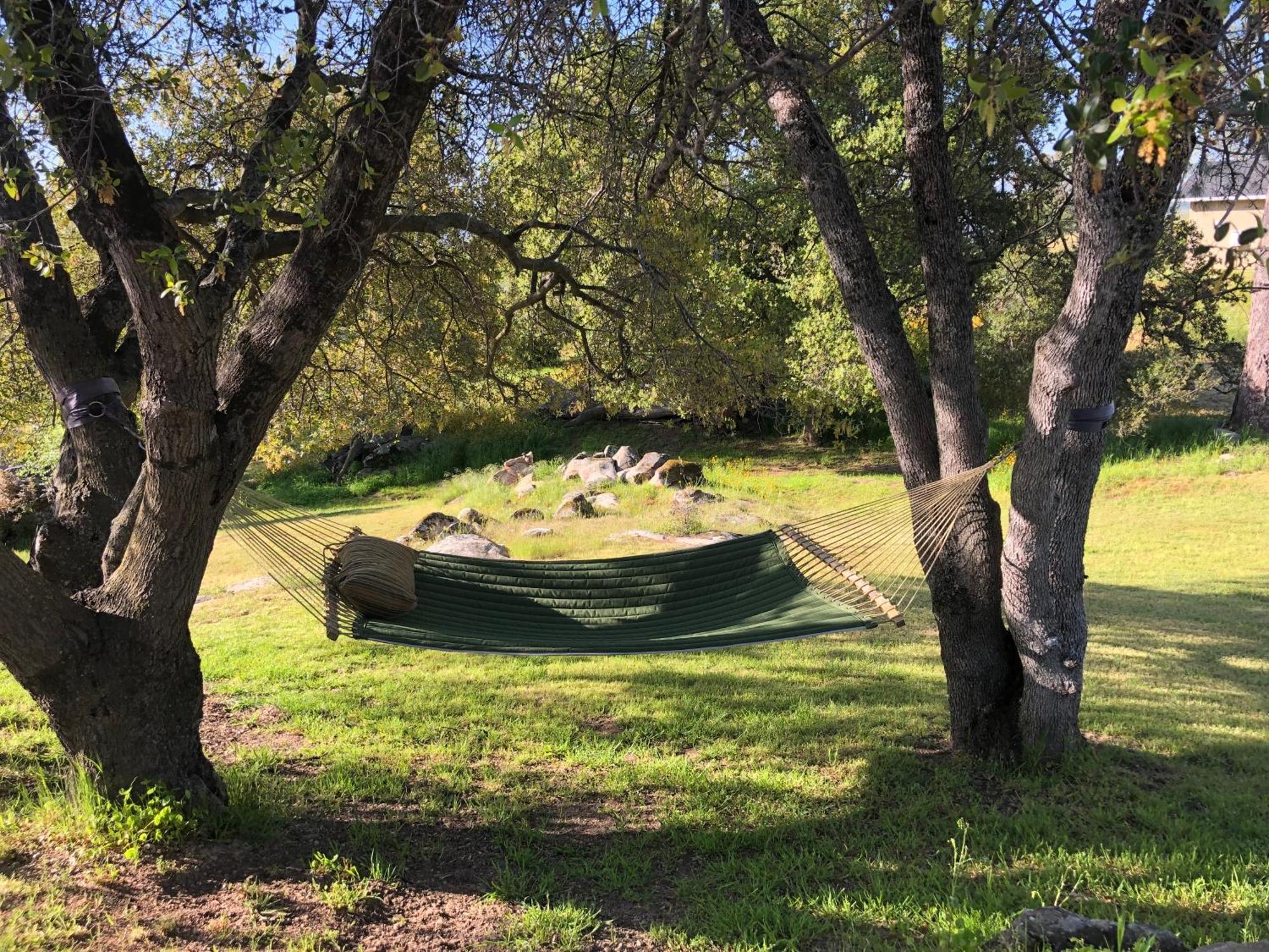 Oak Retreat By Yosemite National Park Apartment Coarsegold Exterior foto